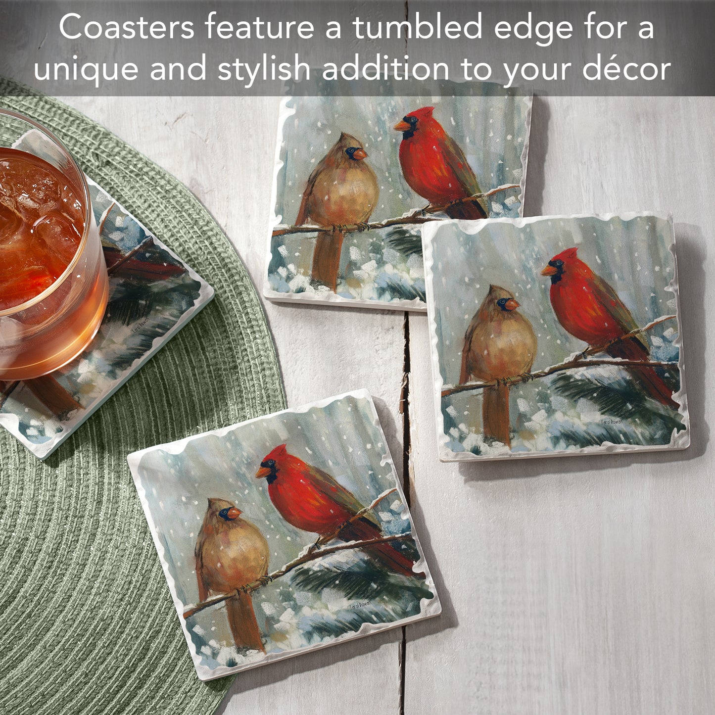 Thirstystone Winter Birds 4 Pack Assorted Tumbled Tile Stone Coasters with Protective Cork Backing 4" Square Manufactured in The USA