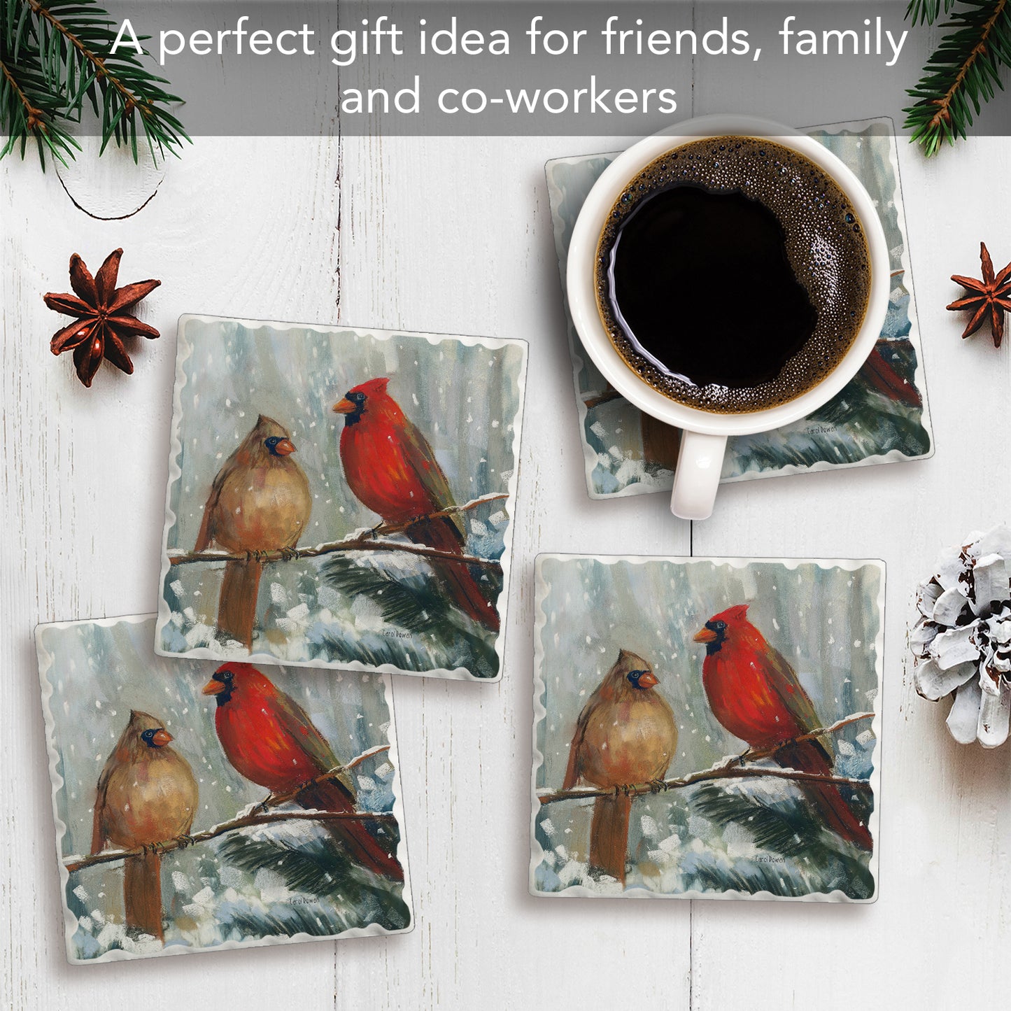 Thirstystone Winter Birds 4 Pack Assorted Tumbled Tile Stone Coasters with Protective Cork Backing 4" Square Manufactured in The USA