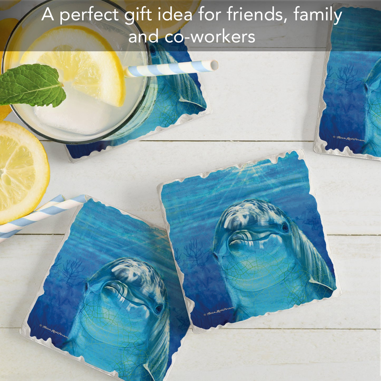Thirstystone Dolphin Smile 4-Pack Tumbled Tile Stone Coasters 4" Square Manufactured in the USA