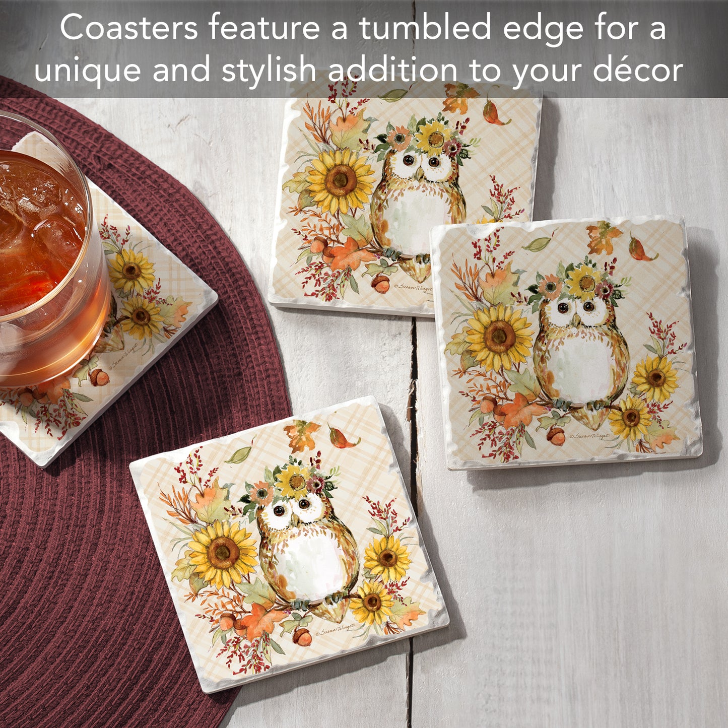 Thirstystone Friendly Owl 4 Pack Tumbled Tile Stone Coasters 4" Square Manufactured in the USA