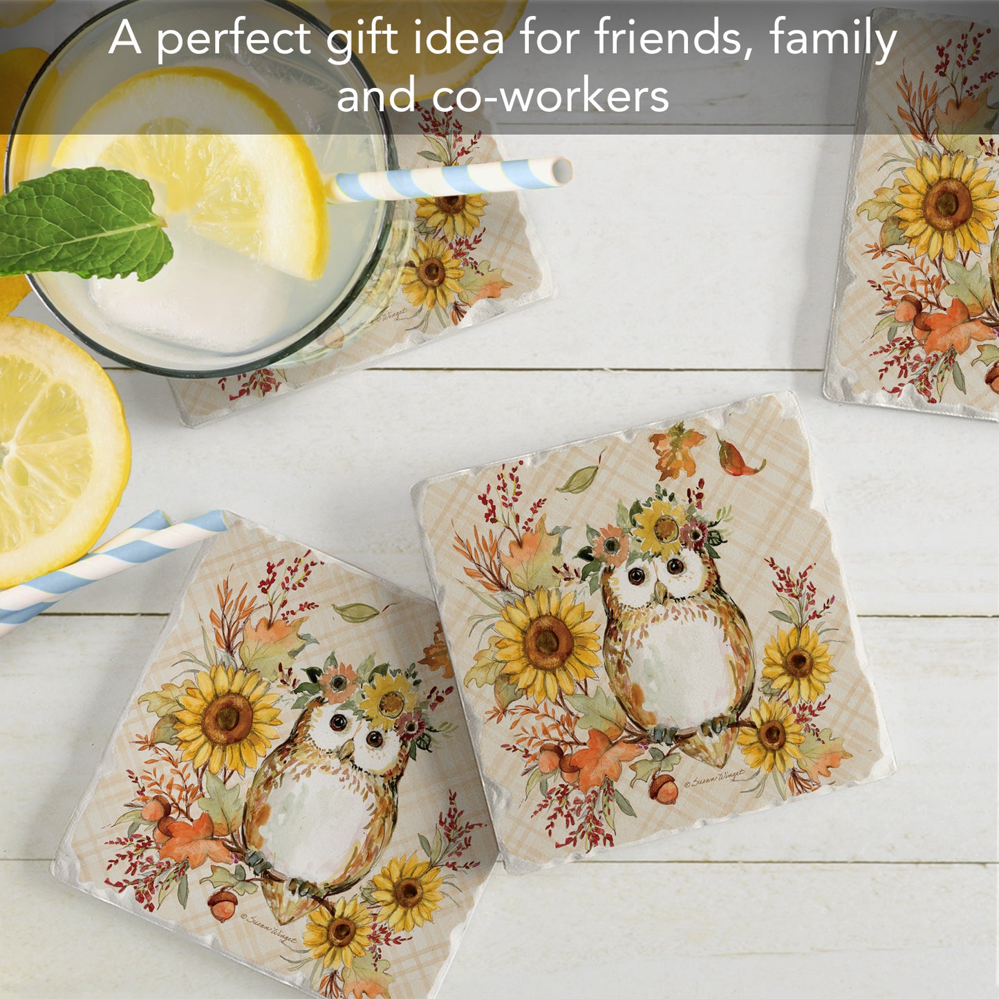 Thirstystone Friendly Owl 4 Pack Tumbled Tile Stone Coasters 4" Square Manufactured in the USA