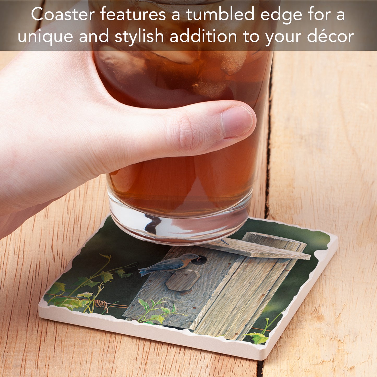 Thirstystone Bluebird Home Single Tumbled Tile Stone Coaster with Protective Cork Backing Manufactured in The USA 4" Square, Artistic, Easily Wipes Clean