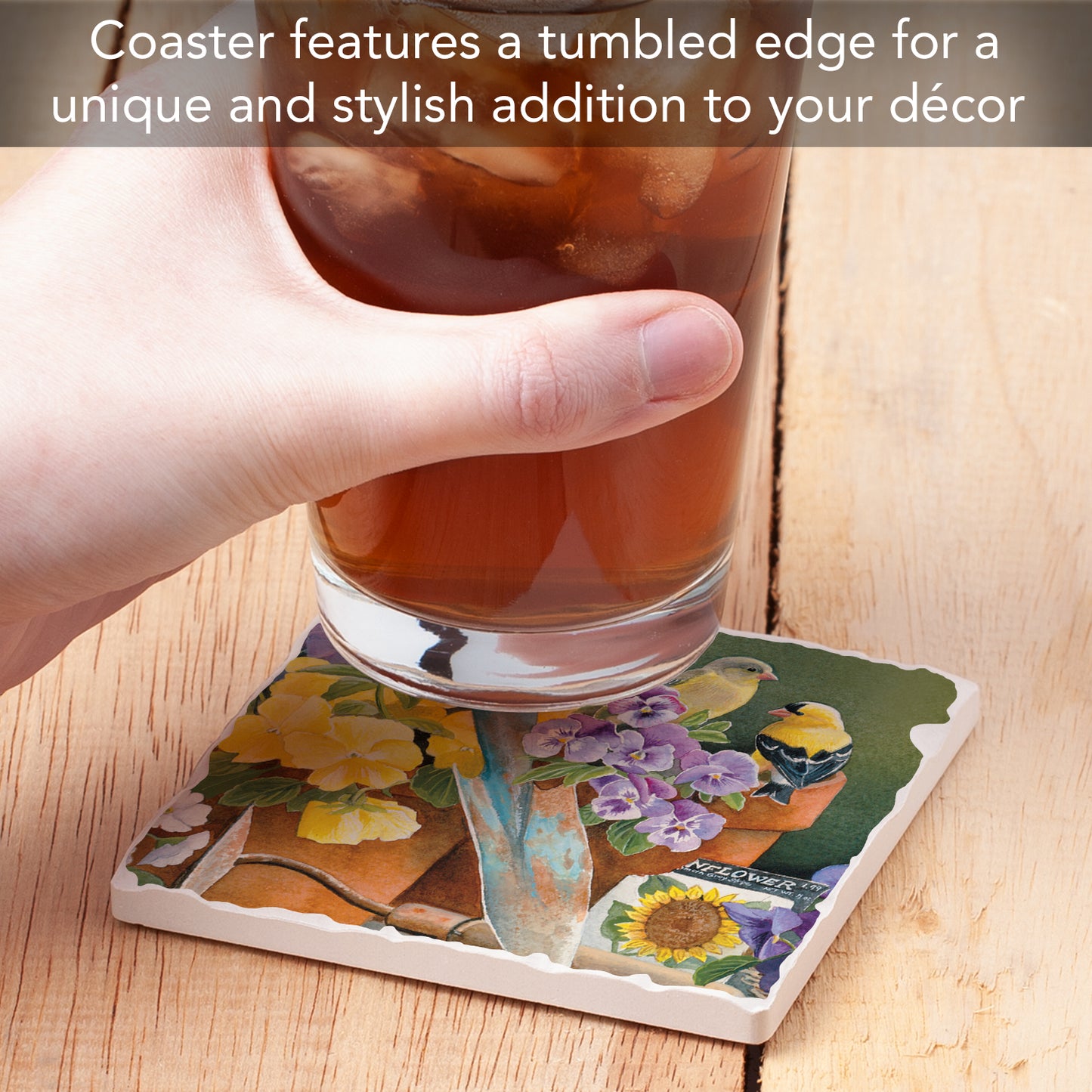Thirstystone Bird Watching Single Tumbled Tile Stone Coaster with Protective Cork Backing Manufactured in The USA 4" Square, Artistic, Easily Wipes Clean
