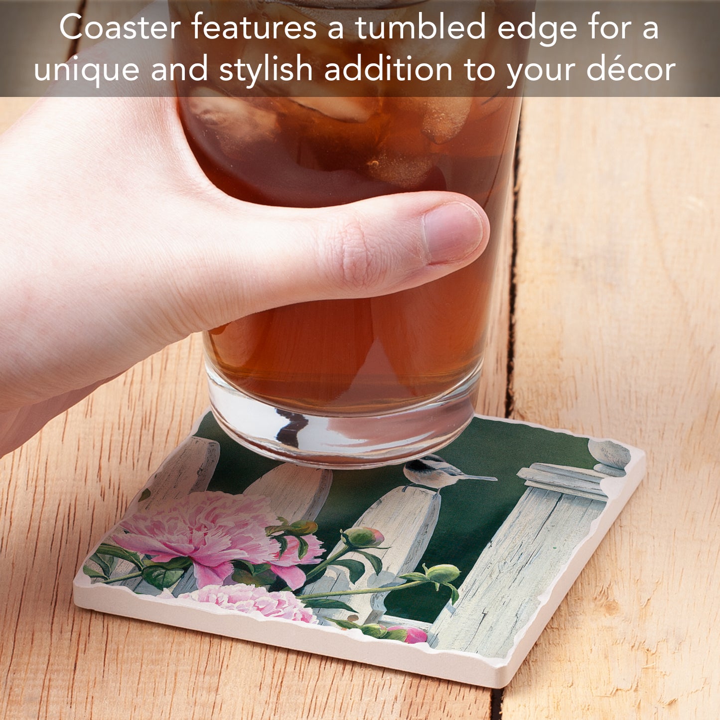 Thirstystone Garden Birds Single Tumbled Tile Stone Coaster with Protective Cork Backing Manufactured in The USA 4" Square, Artistic, Easily Wipes Clean