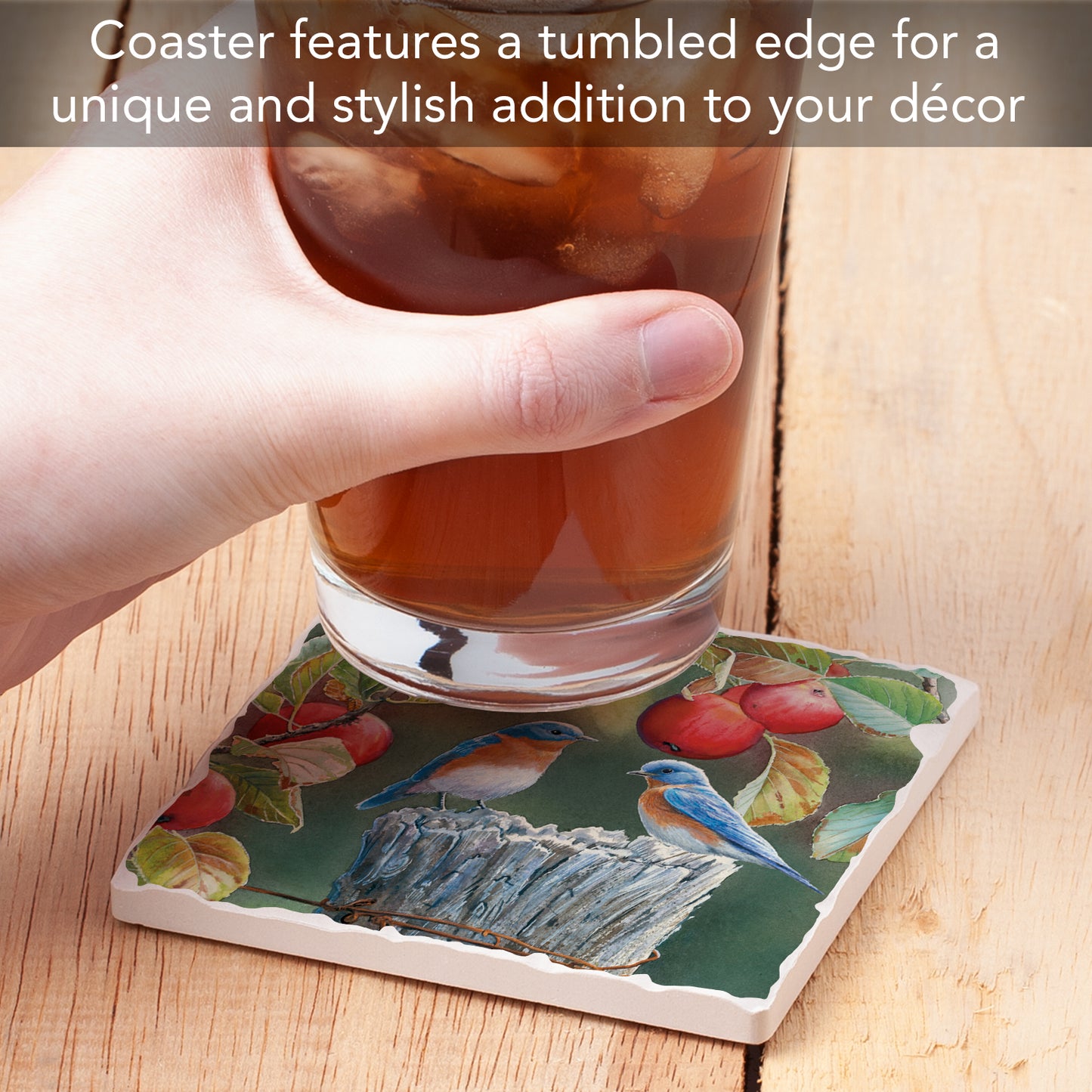 Thirstystone Bluebird Pair Single Tumbled Tile Stone Coaster with Protective Cork Backing Manufactured in The USA 4" Square, Artistic, Easily Wipes Clean