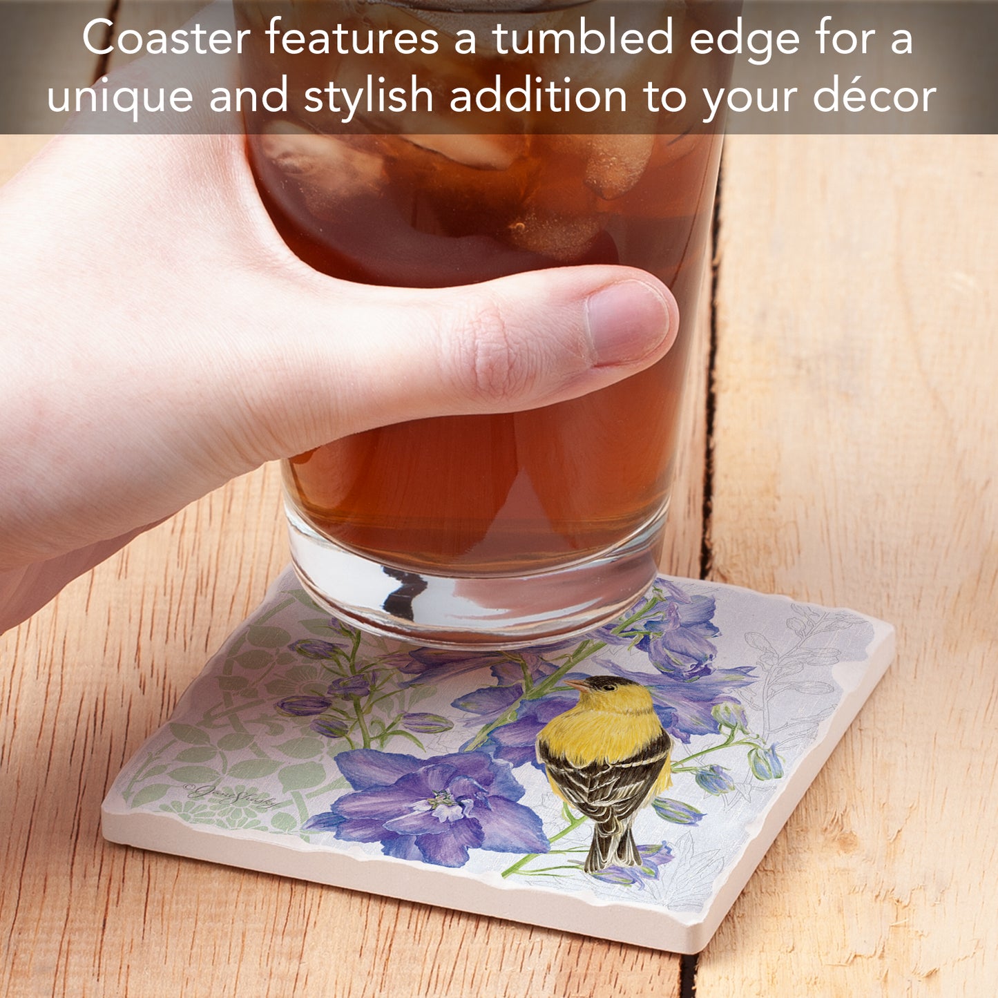 Thirstystone Delphinium Birdhouse Single Tumbled Tile Stone Coaster with Protective Cork Backing Manufactured in The USA 4" Square, Artistic, Easily Wipes Clean