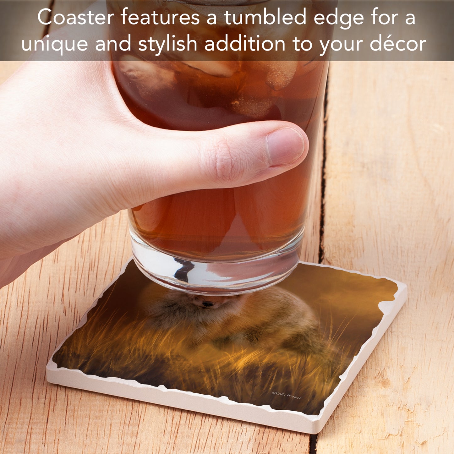 Thirstystone Fox in The Grass Single Tumbled Tile Stone Coaster with Protective Cork Backing Manufactured in The USA 4" Square