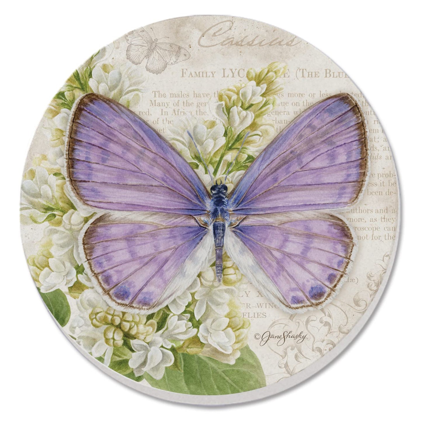 Thirstystone Cassius Blue Butterfly Single Round Absorbent Stone Coaster with Protective Cork Backing Manufactured in The USA 4" Diameter