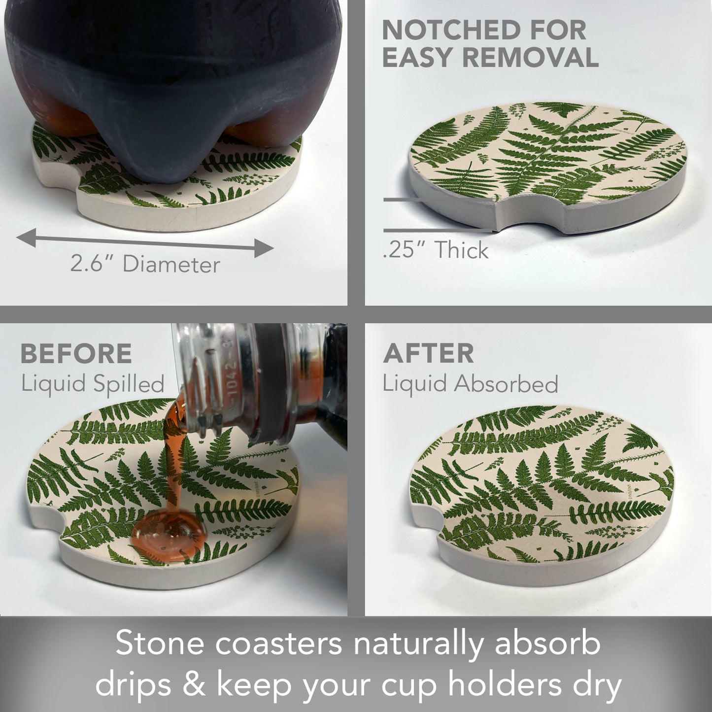 Natural Ferns Single Absorbent Stone Car Coaster 2.6” Diameter Manufactured in the USA