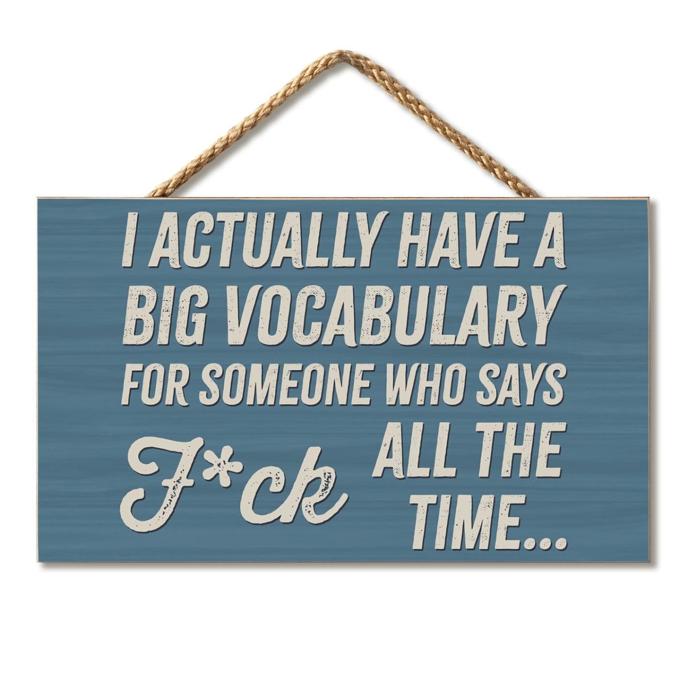CounterArt Big Vocabulary Humorous Hanging Wood Wall Sign 9.5” Made in the USA Features Braided Rope Hanger