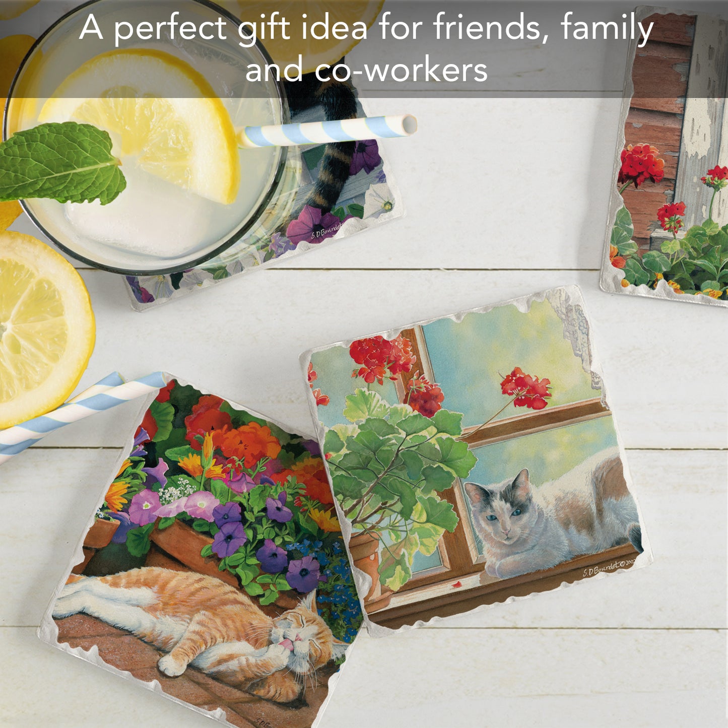 Thirstystone Cats Lazy Day 4-Pack Tumbled Tile Stone Coasters 4" Square