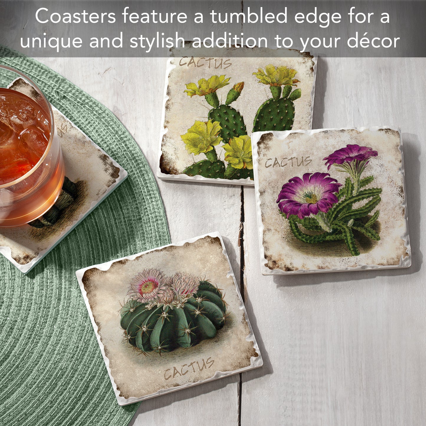 Thirstystone Cactus Flowers 4 Pack Assorted Tumbled Tile Stone Coasters 4" Square