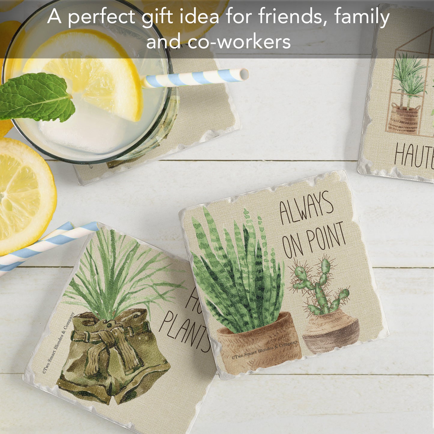 Thirstystone Plant Love 4-Pack Tumbled Tile Stone Coasters 4" Square