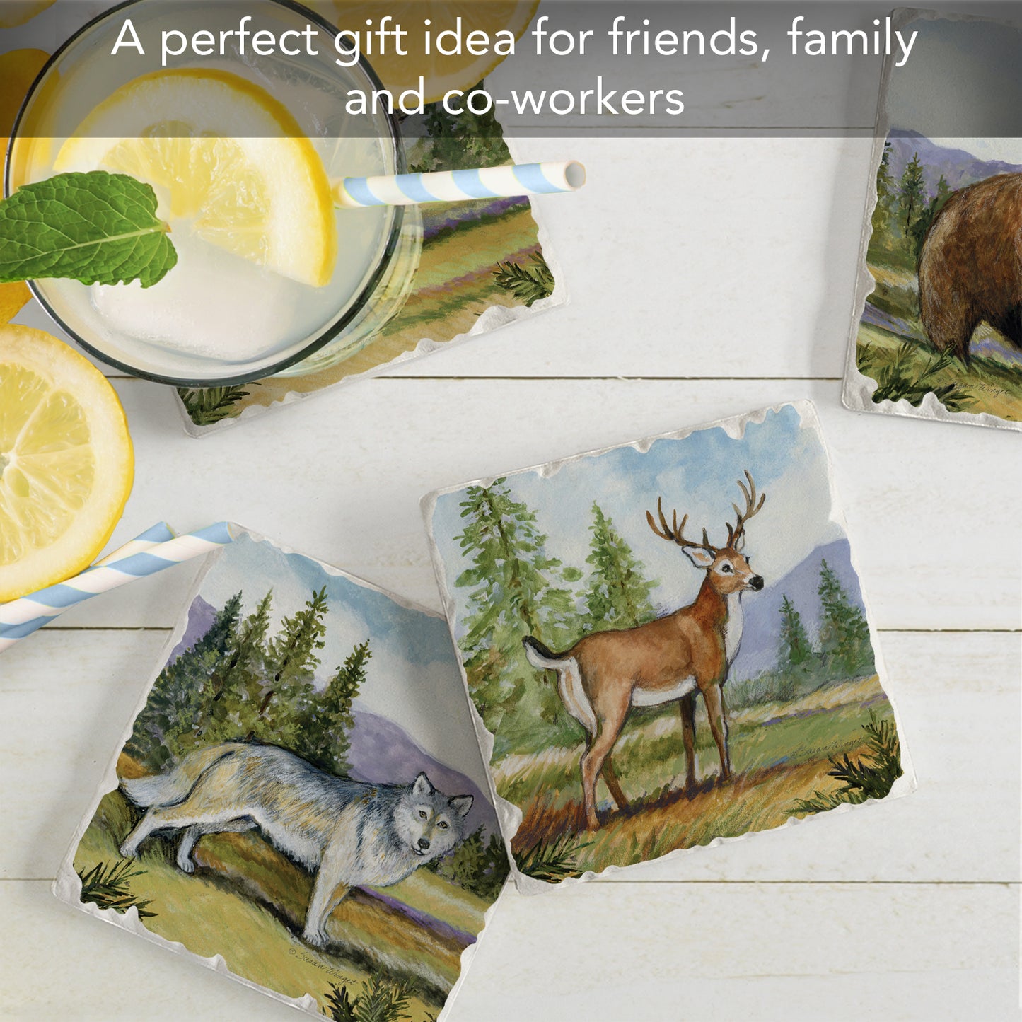 Thirstystone Mountain Lodge Animals 4-Pack Tumbled Tile Stone Coasters 4" Square
