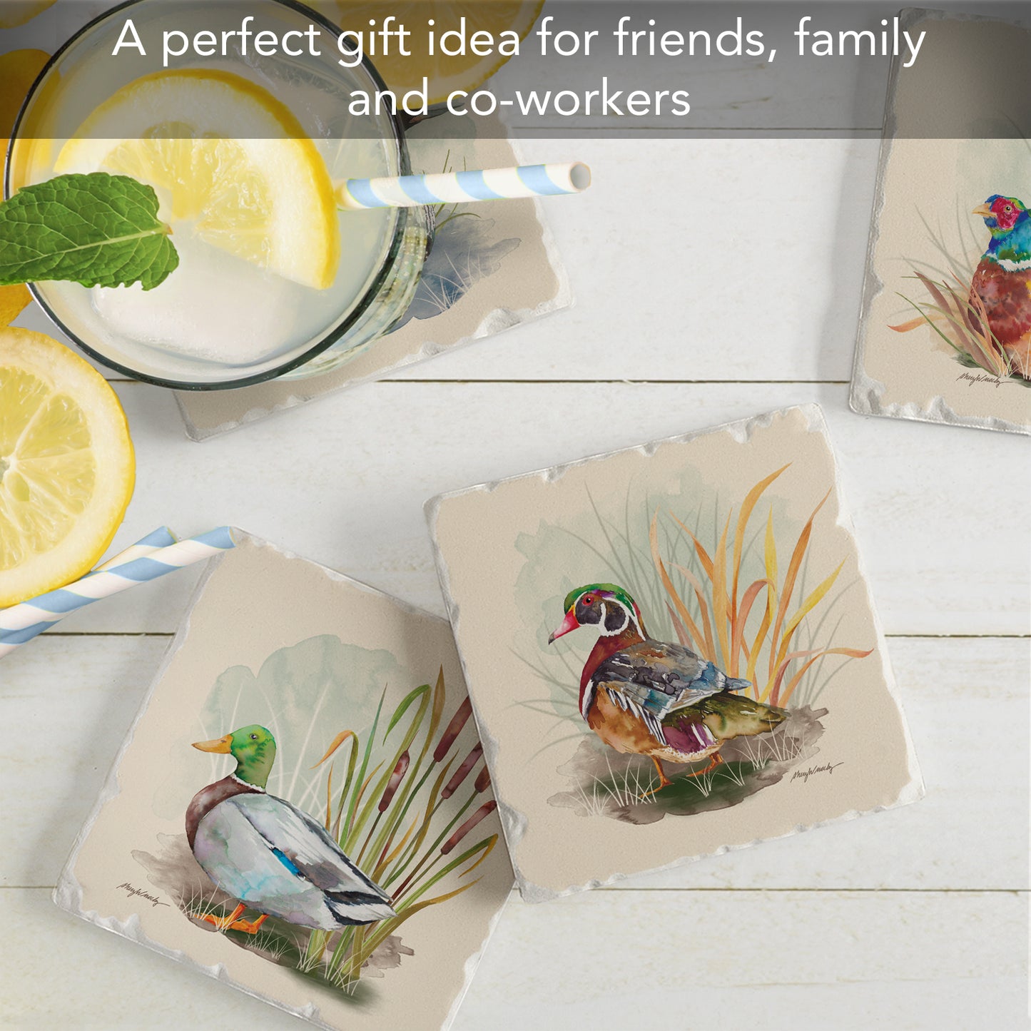 Thirstystone Water Fowl 4-Pack Tumbled Tile Stone Coasters 4" Square