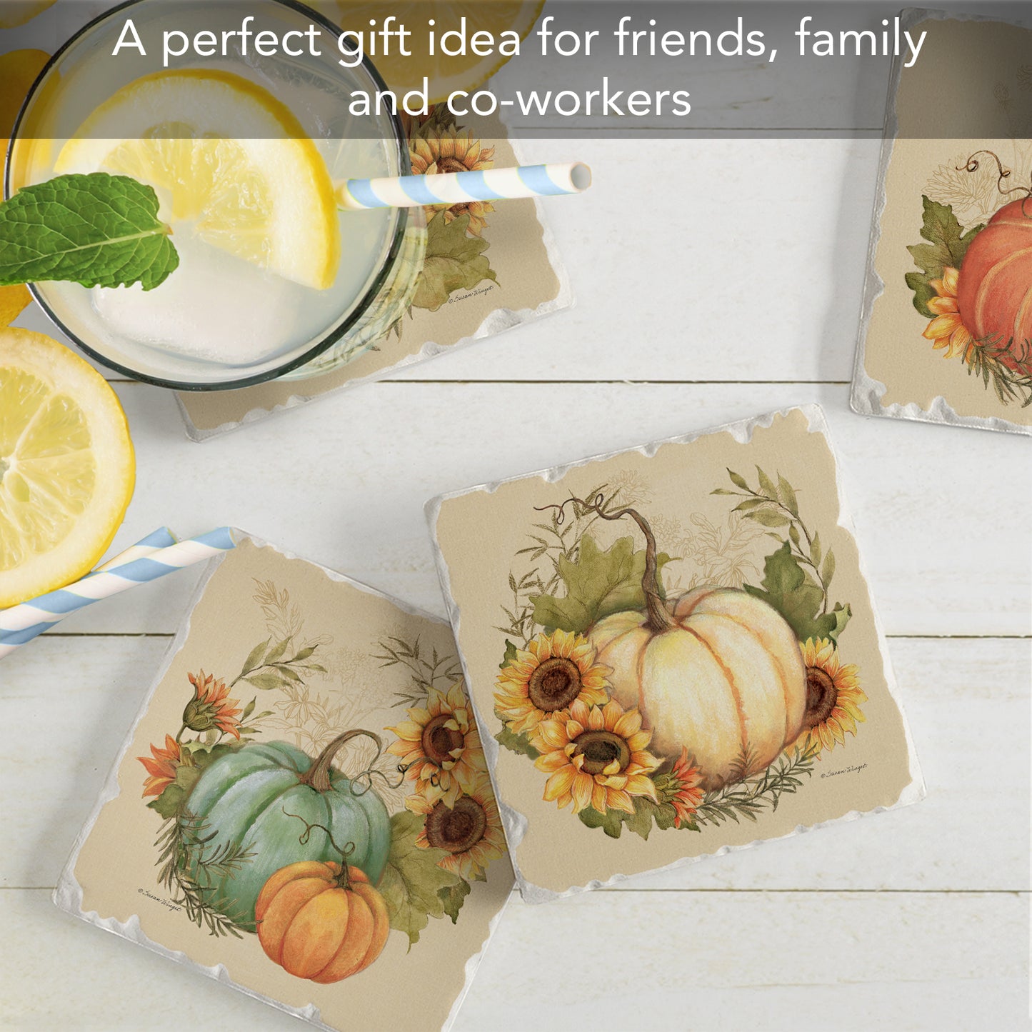 Thirstystone Harvest Field 4 Pack Assorted Tumbled Tile Stone Coasters 4" Square