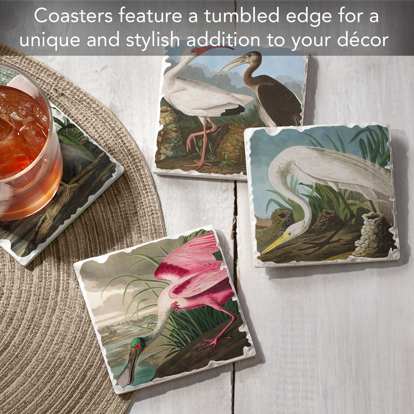 Thirstystone John James Audubon Collection 4-Pack Assorted Tumbled Tile Stone Coasters 4" Square
