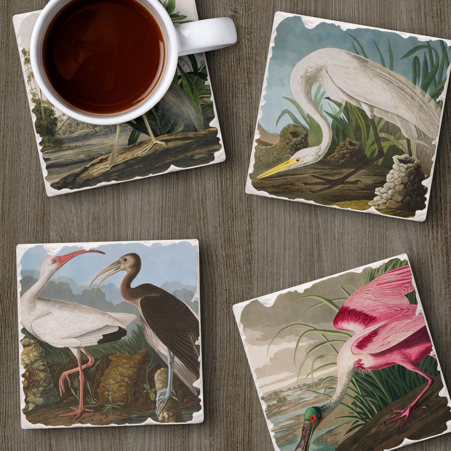 Thirstystone John James Audubon Collection 4-Pack Assorted Tumbled Tile Stone Coasters 4" Square