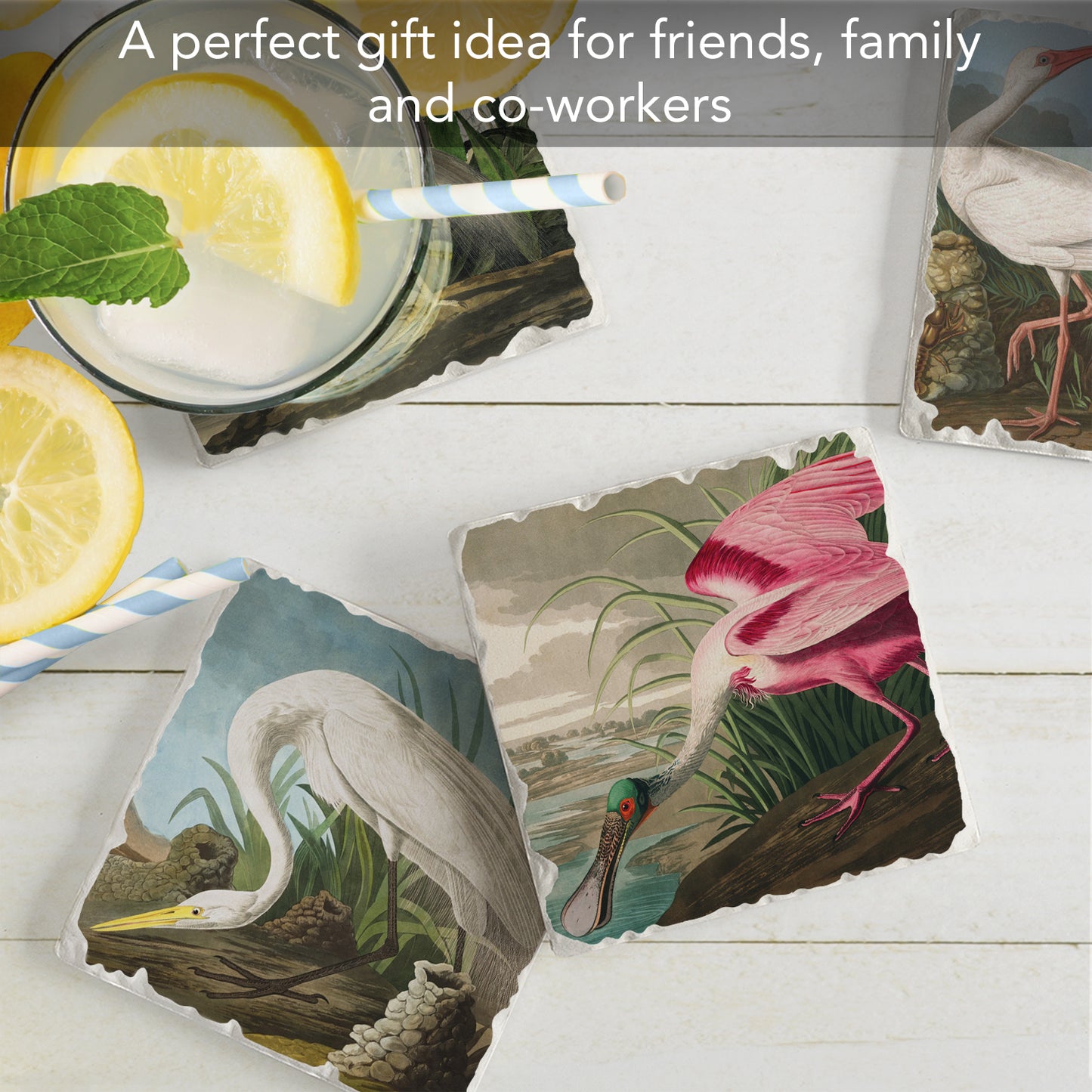 Thirstystone John James Audubon Collection 4-Pack Assorted Tumbled Tile Stone Coasters 4" Square