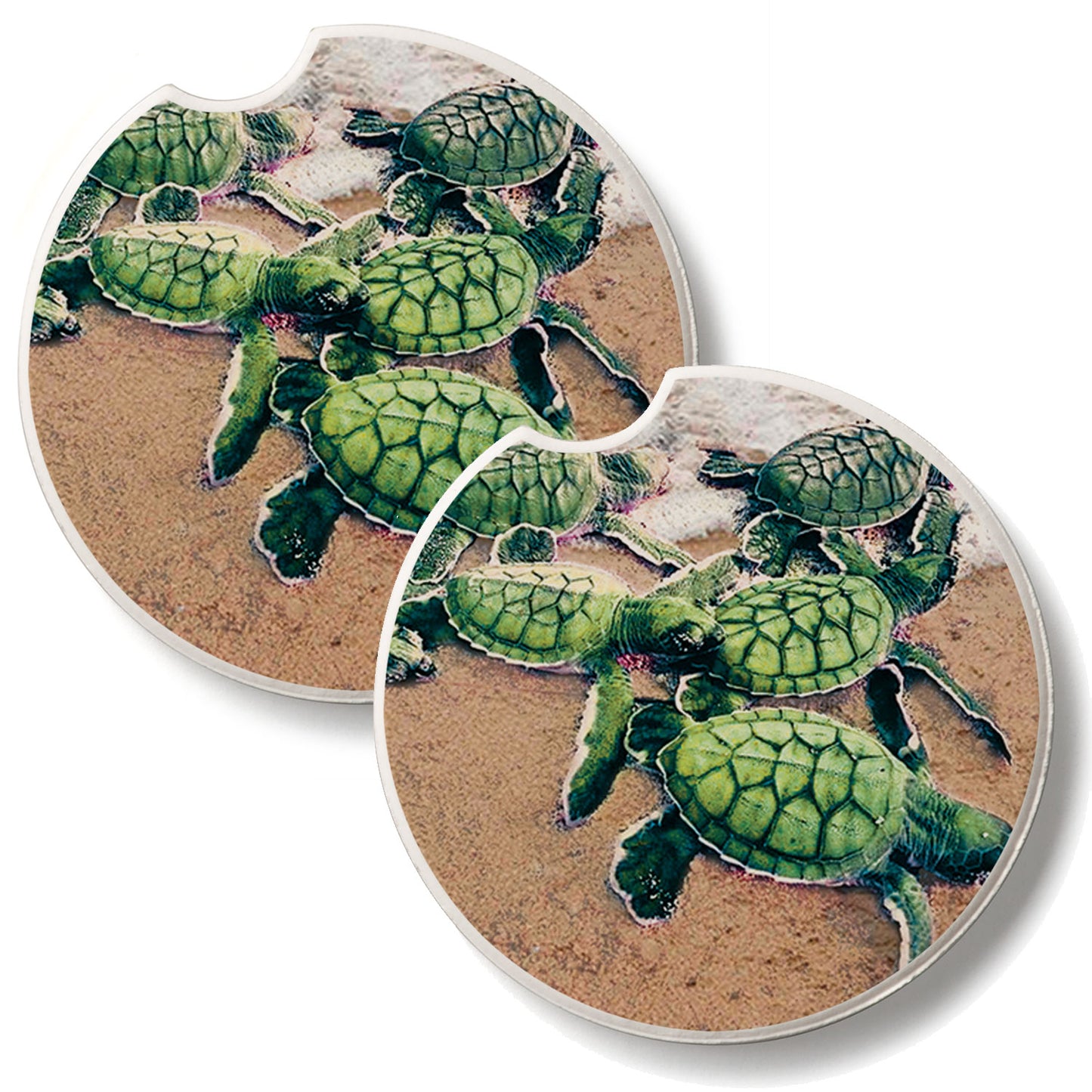 Baby Sea Turtle 2 Pack Absorbent Stone Car Coasters 2.6" Manufactured in the USA