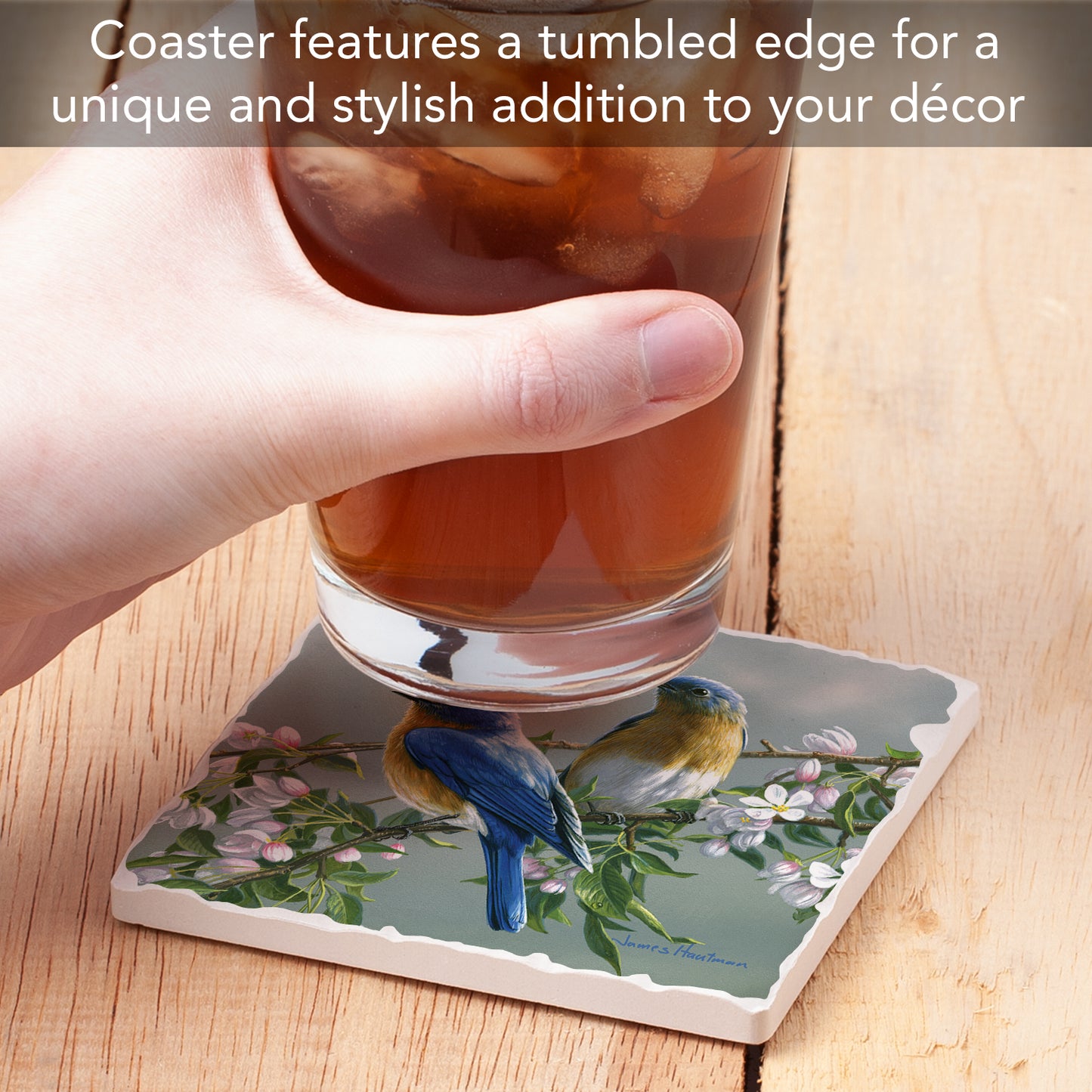 Thirstystone Bluebird Branch Single Tumbled Tile Stone Coaster with Protective Cork Backing Manufactured in The USA 4" Square, Artistic, Easily Wipes Clean