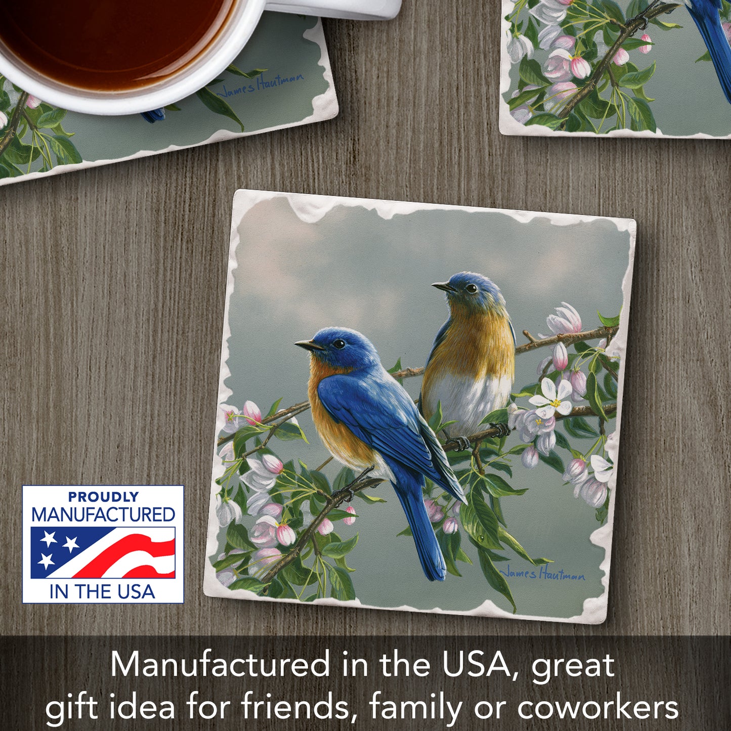 Thirstystone Bluebird Branch Single Tumbled Tile Stone Coaster with Protective Cork Backing Manufactured in The USA 4" Square, Artistic, Easily Wipes Clean