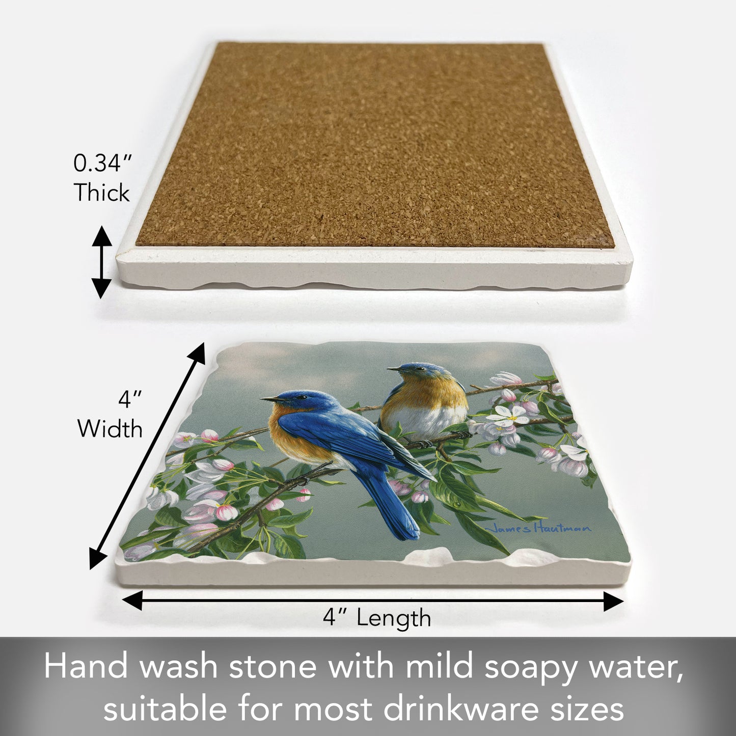Thirstystone Bluebird Branch Single Tumbled Tile Stone Coaster with Protective Cork Backing Manufactured in The USA 4" Square, Artistic, Easily Wipes Clean