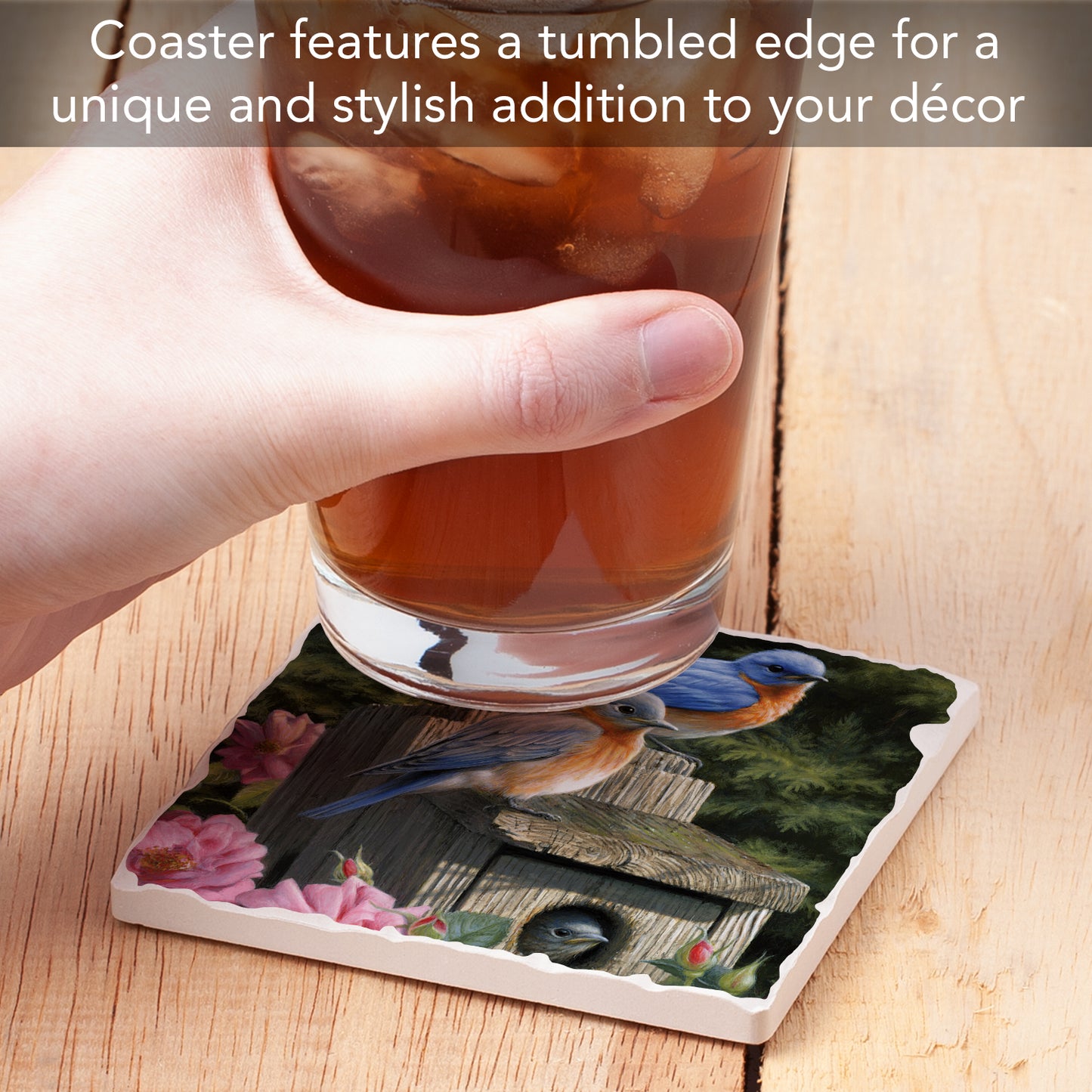 Thirstystone Bluebird Family Single Tumbled Tile Stone Coaster with Protective Cork Backing Manufactured in The USA 4" Square, Artistic, Easily Wipes Clean