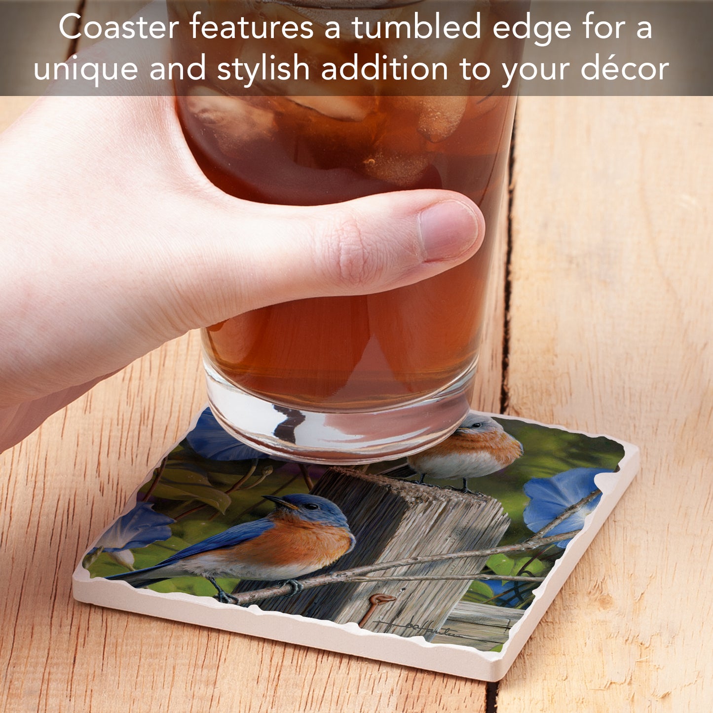 Thirstystone Pair of Bluebirds Single Tumbled Tile Stone Coaster with Protective Cork Backing Manufactured in The USA 4" Square, Artistic, Easily Wipes Clean