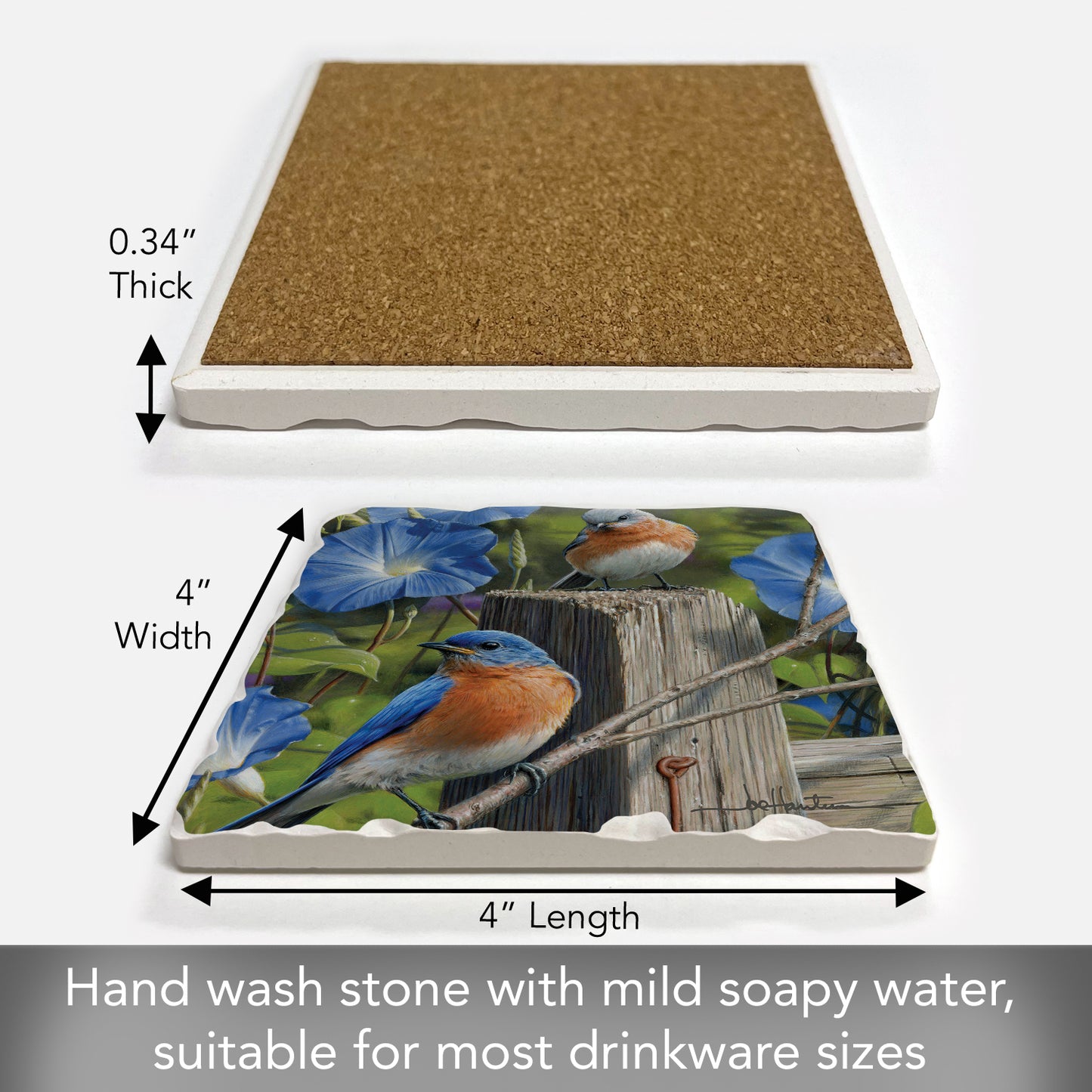 Thirstystone Pair of Bluebirds Single Tumbled Tile Stone Coaster with Protective Cork Backing Manufactured in The USA 4" Square, Artistic, Easily Wipes Clean