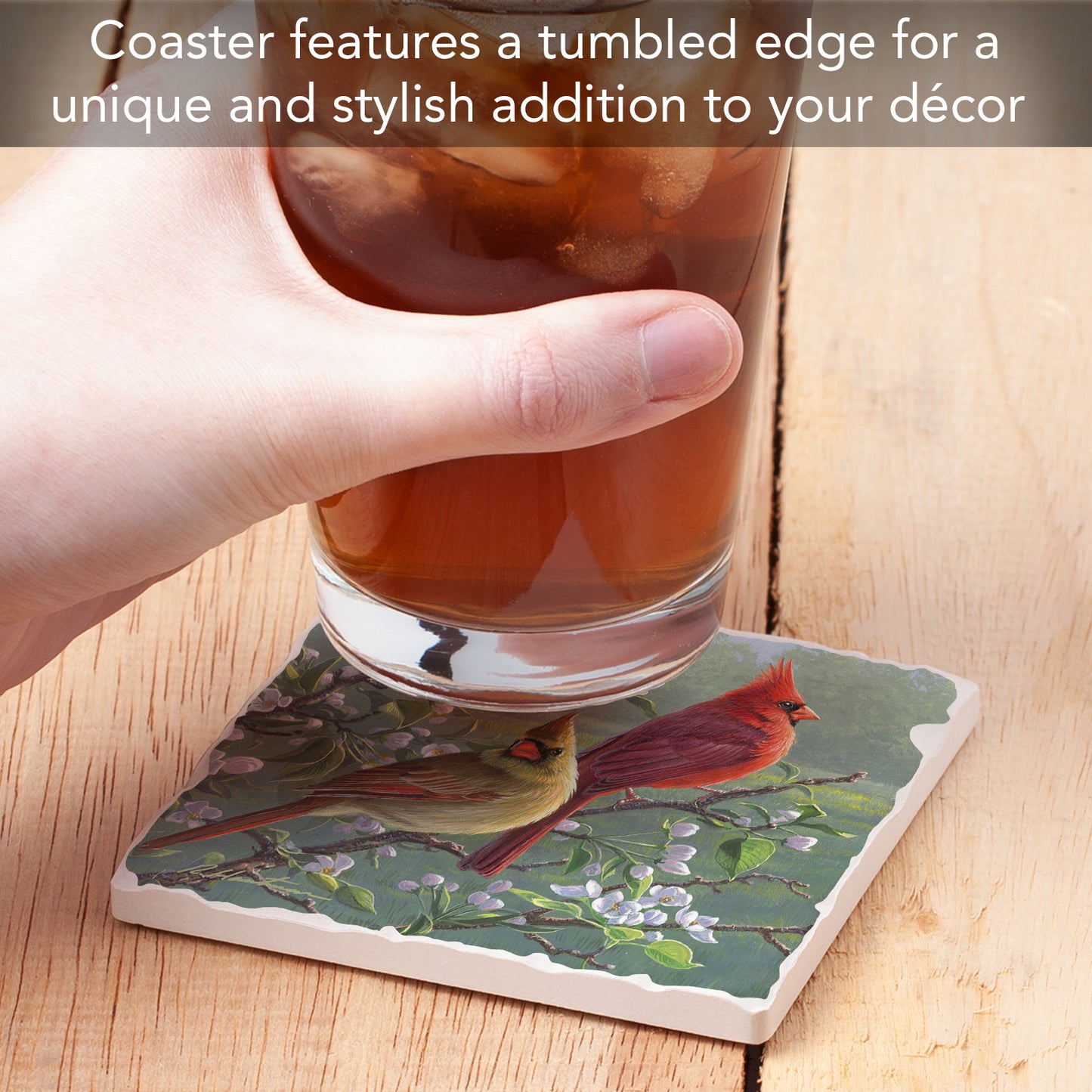 Thirstystone Cardinal Couple Single Tumbled Tile Stone Coaster with Protective Cork Backing Manufactured in The USA 4" Square, Artistic, Easily Wipes Clean