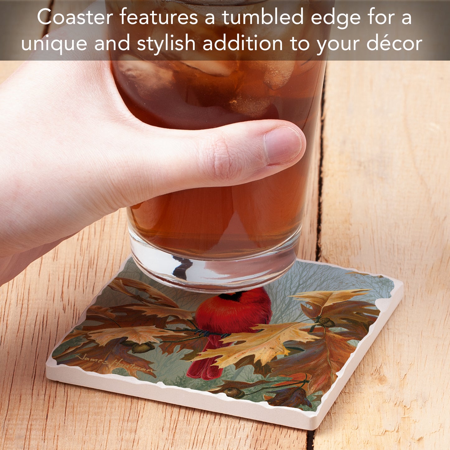 Thirstystone Fall Cardinal Single Tumbled Tile Stone Coaster with Protective Cork Backing Manufactured in The USA 4" Square, Artistic, Easily Wipes Clean