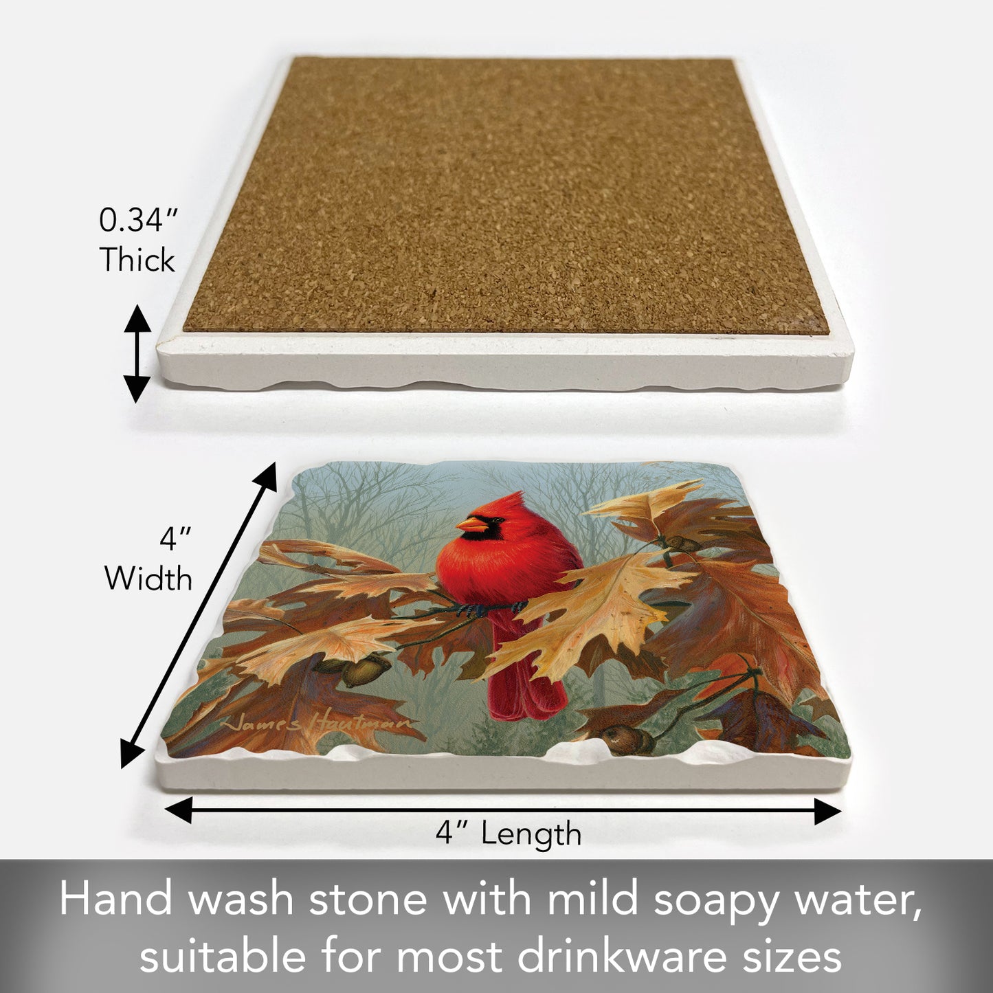 Thirstystone Fall Cardinal Single Tumbled Tile Stone Coaster with Protective Cork Backing Manufactured in The USA 4" Square, Artistic, Easily Wipes Clean