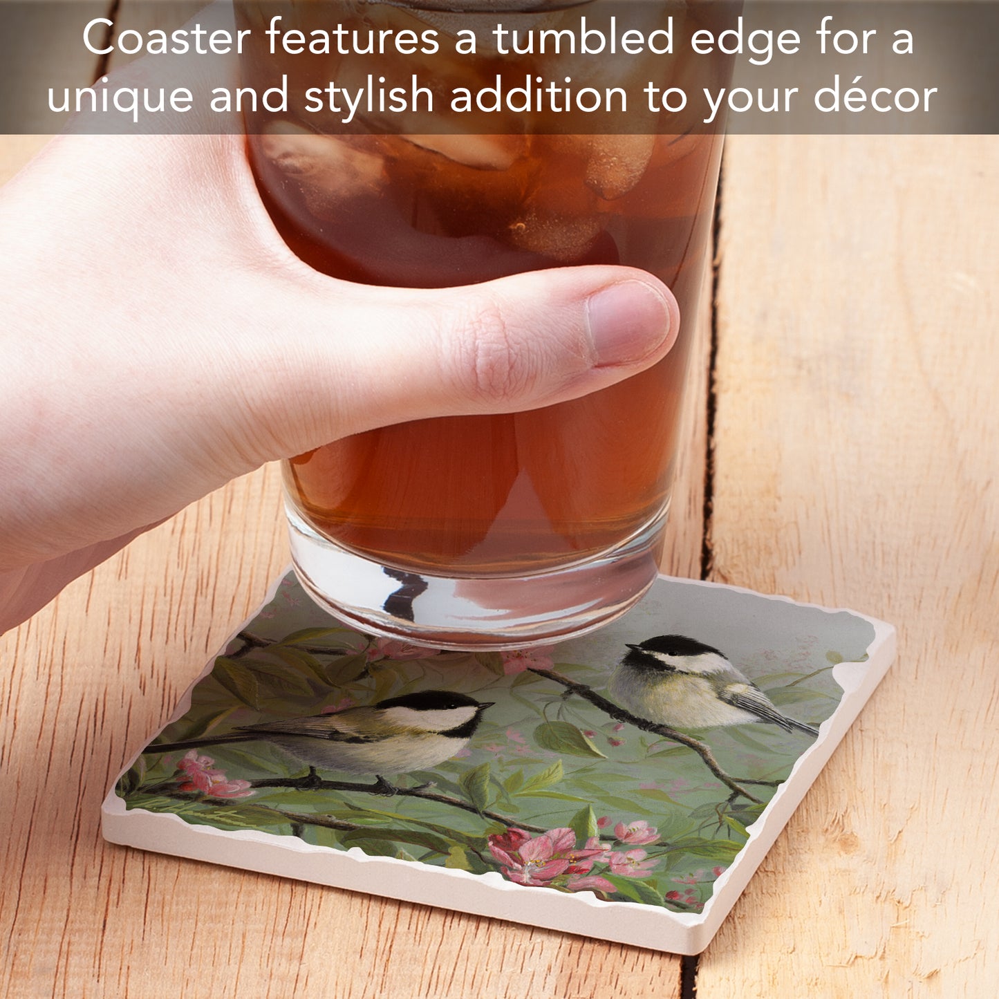 Thirstystone Chickadees on Branch Single Tumbled Tile Stone Coaster with Protective Cork Backing Manufactured in The USA 4" Square, Artistic, Easily Wipes Clean
