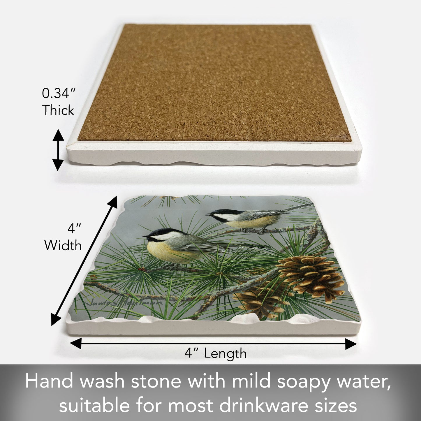 Thirstystone Chickadee Pine Tree Single Tumbled Tile Stone Coaster with Protective Cork Backing Manufactured in The USA 4" Square, Artistic, Easily Wipes Clean