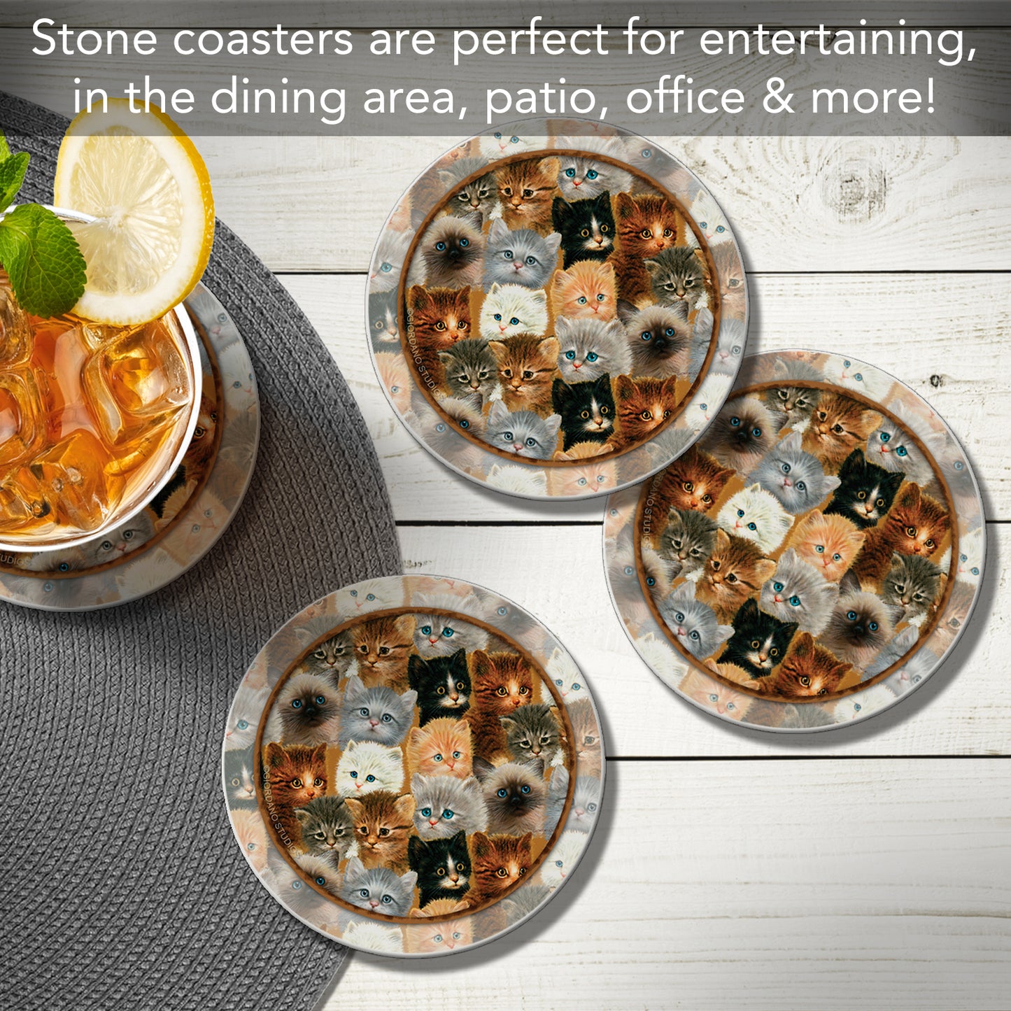 Thirstystone Kittens 4 Pack Round Absorbent Stone Coasters 4" Diameter Manufactured in the USA