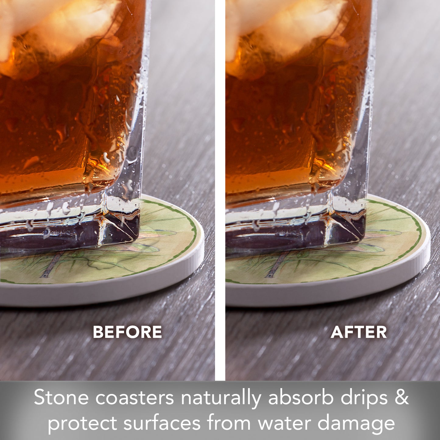 Thirstystone Dragonfly 4 Pack Round Absorbent Stone Coasters 4" Diameter Manufactured in the USA
