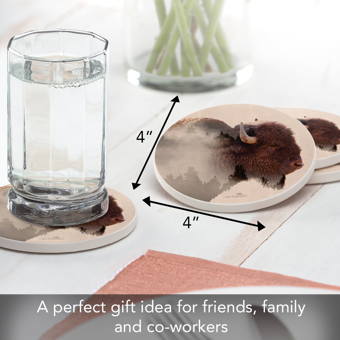 Thirstystone Buffalo Scene 4 Pack Round Absorbent Stone Coasters 4" Diameter Manufactured in the USA