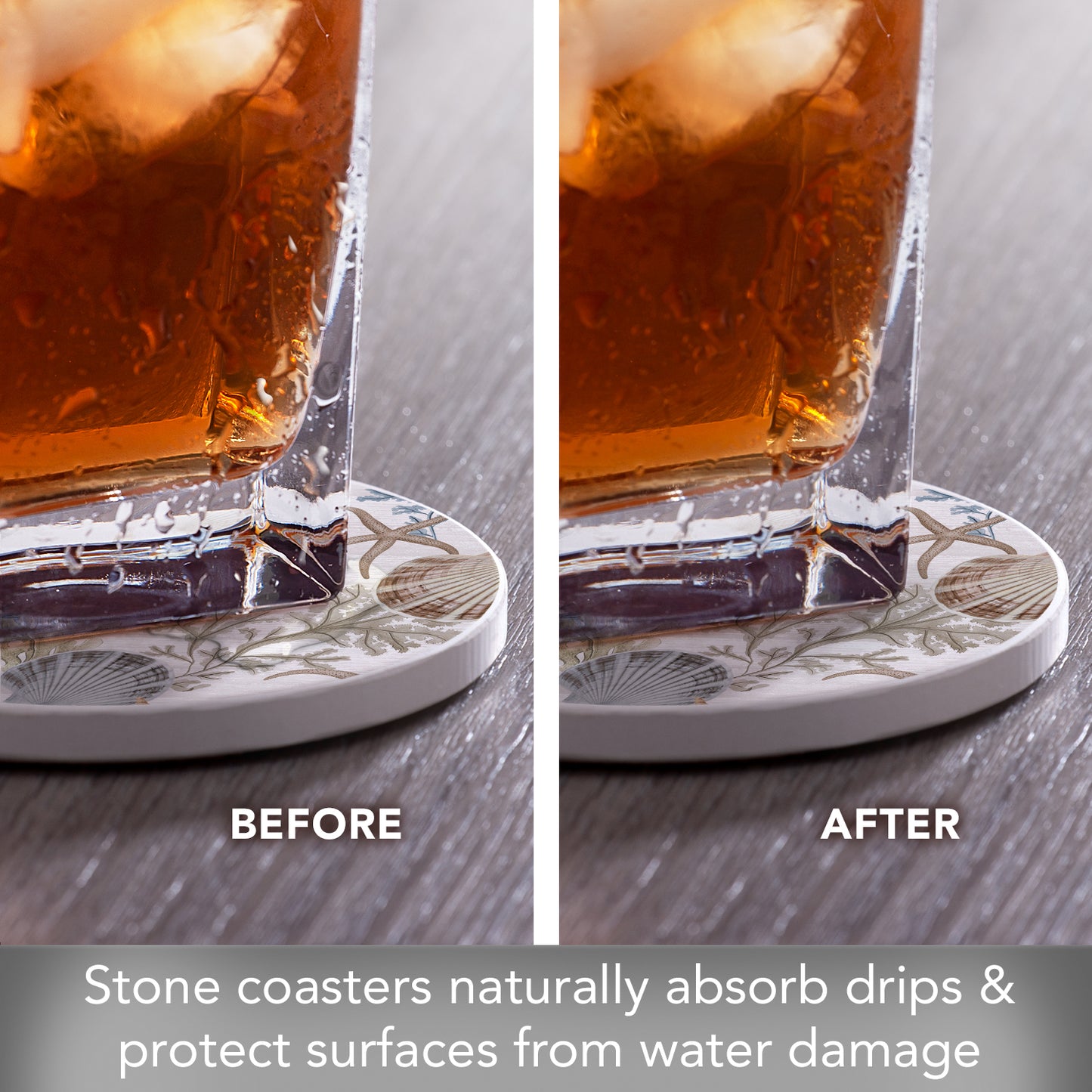 Thirstystone Starfish & Shells 4 Pack Round Absorbent Stone Coasters 4" Diameter Manufactured in the USA