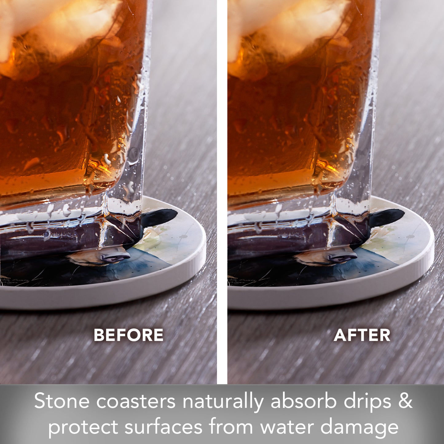 Thirstystone Wilderness Bear 4 Pack Round Absorbent Stone Coasters 4" Diameter Manufactured in the USA