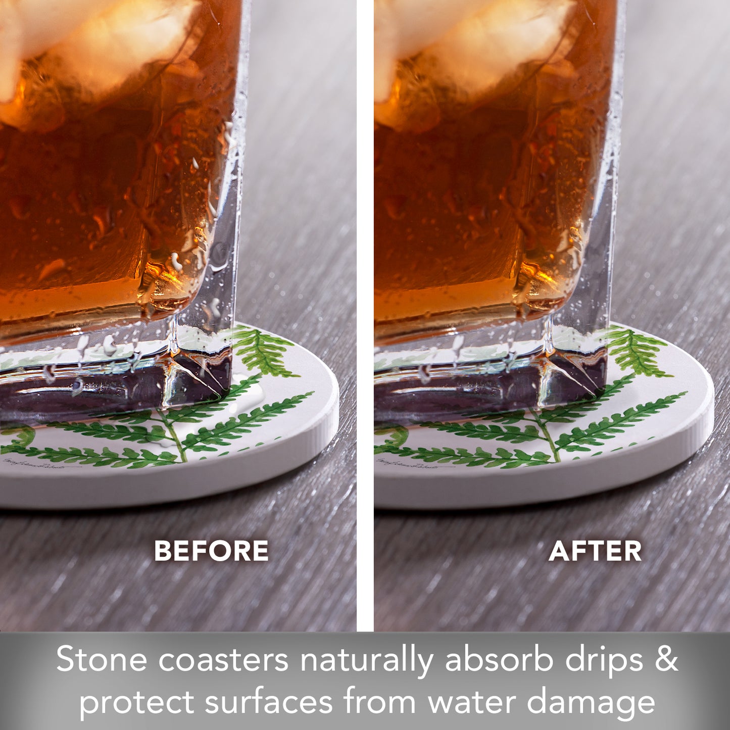 Thirstystone Ferns 4 Pack Round Absorbent Stone Coasters 4" Diameter Manufactured in the USA