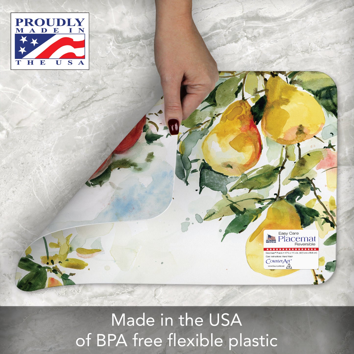 CounterArt Watercolor Fruit 4 Pack Reversible Easy Care Flexible Placemats Made in the USA