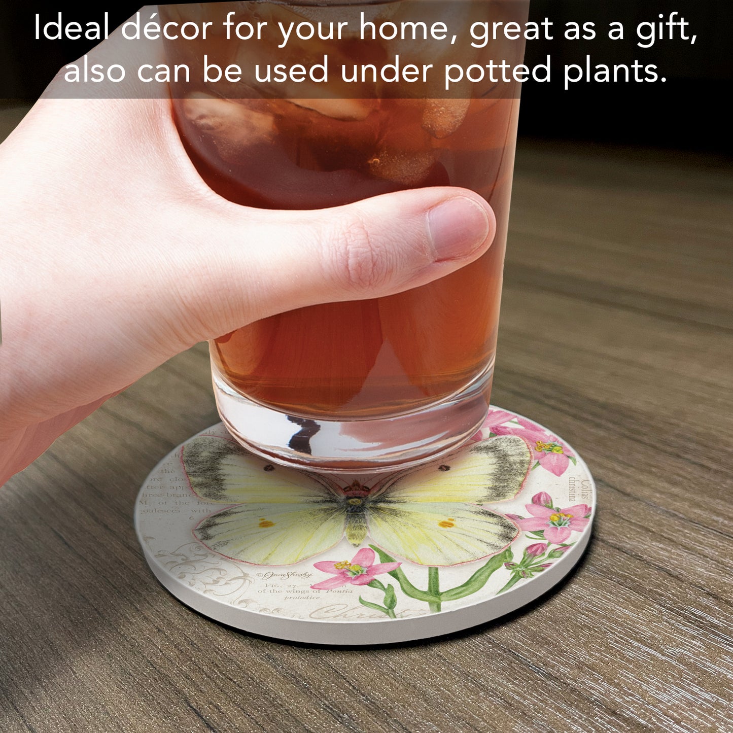 Thirstystone Christina Sulphur Butterfly Single Round Absorbent Stone Coaster with Protective Cork Backing Manufactured in The USA 4" Diameter