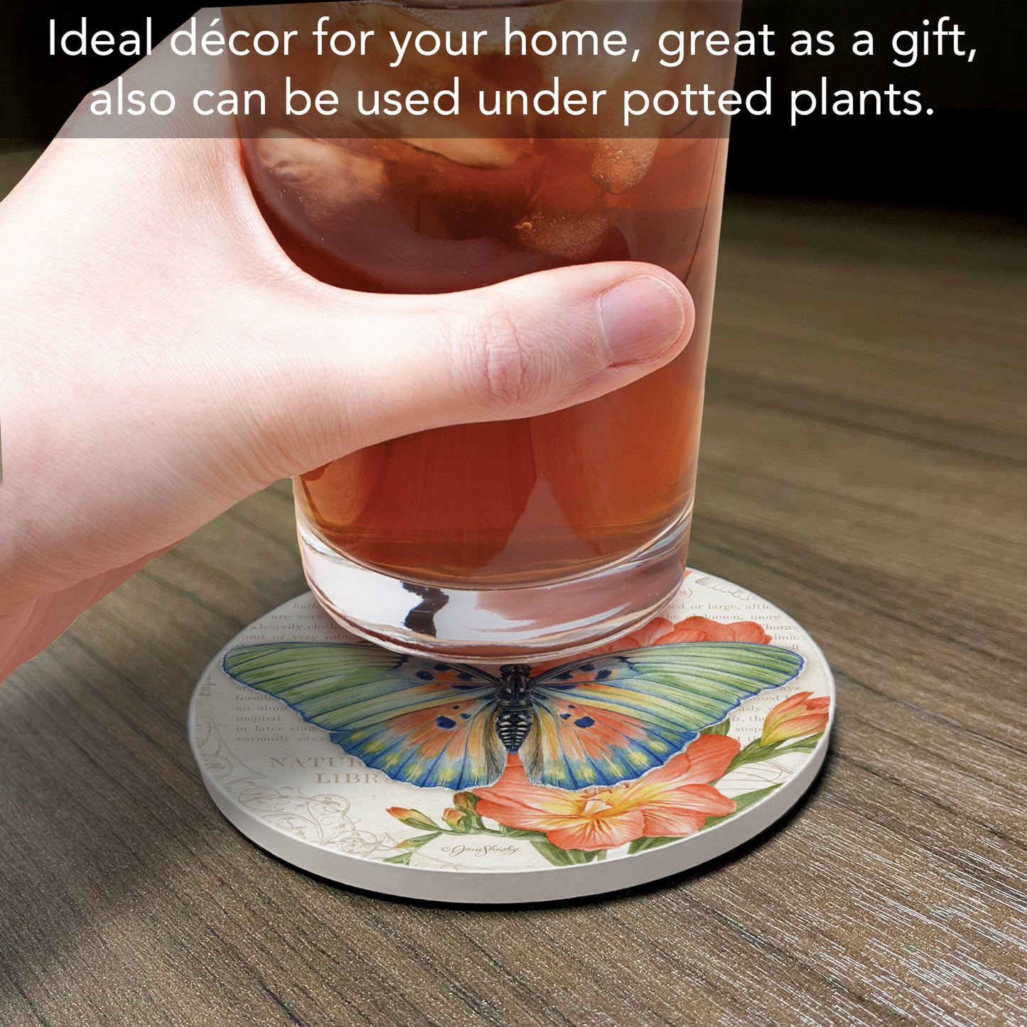 Thirstystone Edwards Forester Butterfly Single Round Absorbent Stone Coaster with Protective Cork Backing Manufactured in The USA 4" Diameter