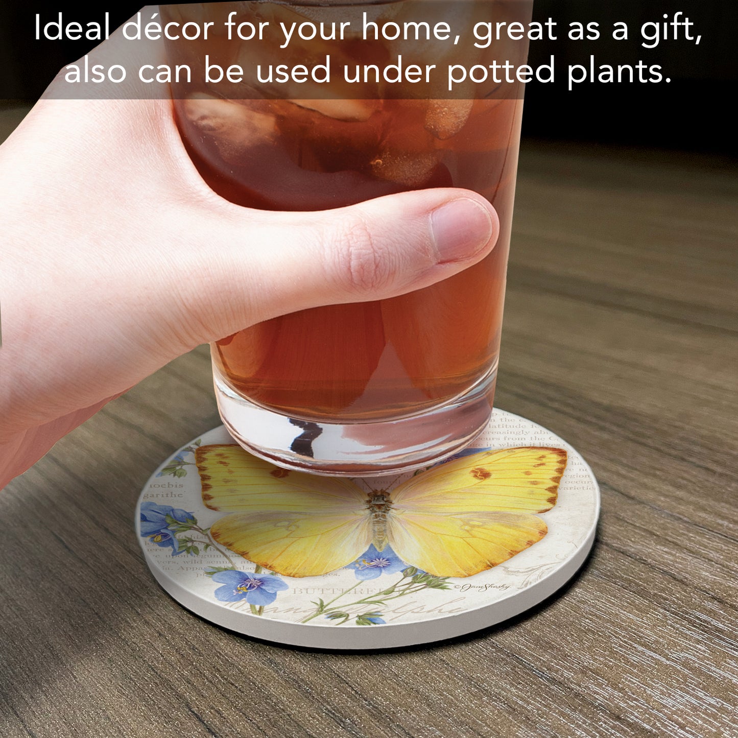 Thirstystone Orange Sulphur Butterfly Single Round Absorbent Stone Coaster with Protective Cork Backing Manufactured in The USA 4" Diameter