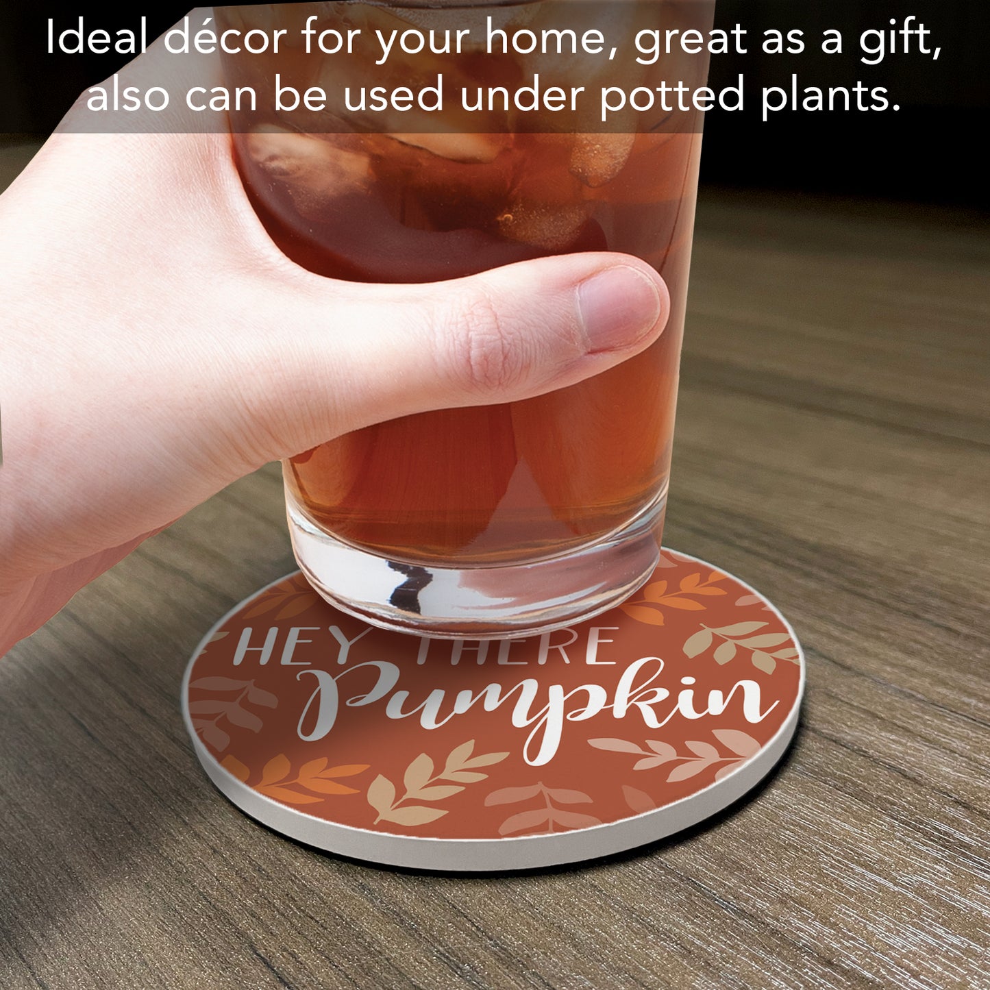 Thirstystone Hey There Pumpkin Round Absorbent Stone Coaster with Protective Cork Backing Manufactured in The USA 4" Diameter