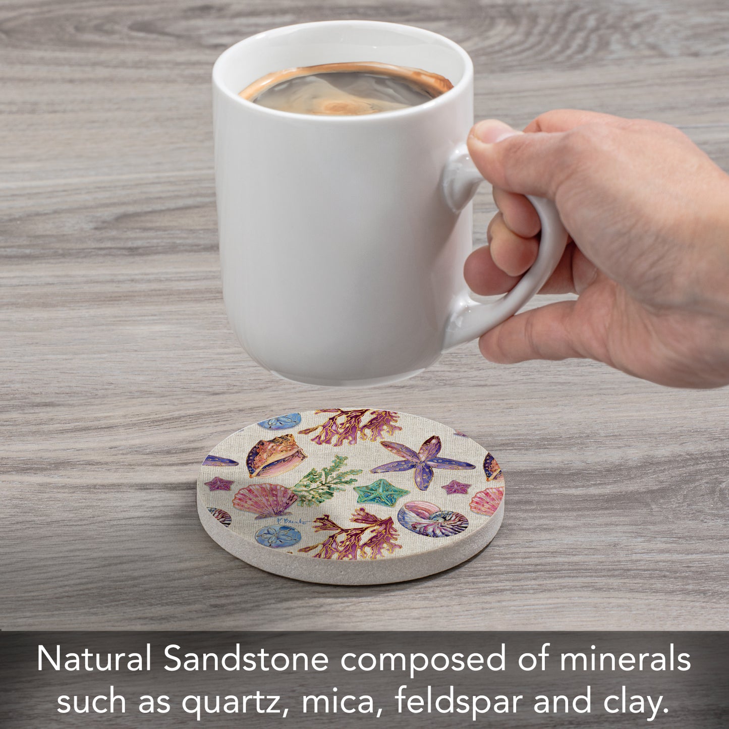 CounterArt Spectrum Shells Single Round Natural Sandstone Coaster with Protective Cork Backing Manufactured in The USA 4" Diameter