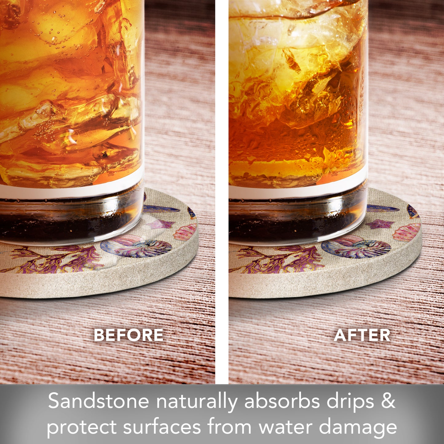 Spectrum Shells Single Natural Sandstone Coaster 4" Round Create Your Own Set