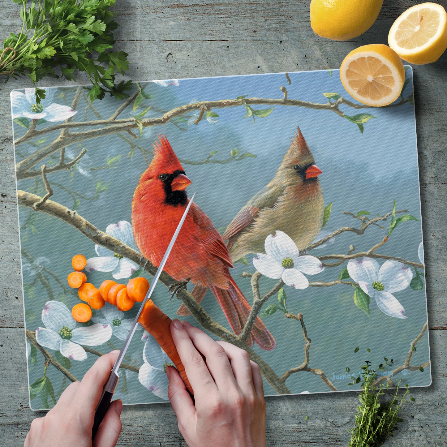 CounterArt Beautiful Songbirds Cardinal 3mm Tempered Glass Cutting Board 15” x 12” Manufactured in the USA