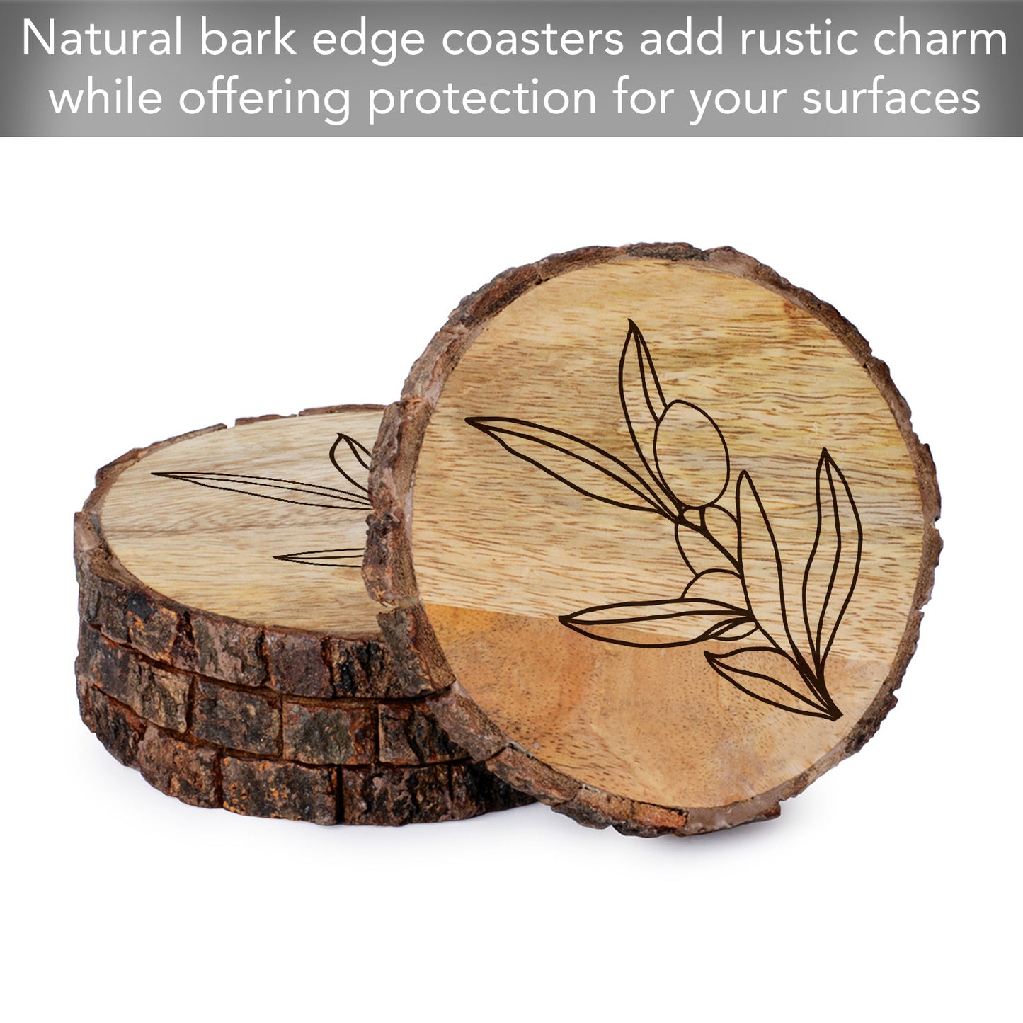 Thirstystone Olive Branch 4-Pack Mango Wood Coasters with Bark Edges 4.5" Round Manufactured in The USA